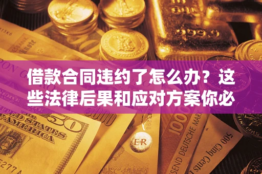 武汉借款合同违约了怎么办？这些法律后果和应对方案你必须知道