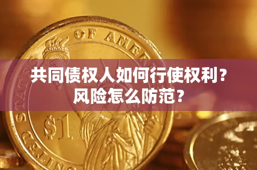武汉共同债权人如何行使权利？风险怎么防范？