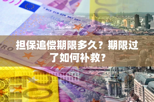 武汉担保追偿期限多久？期限过了如何补救？