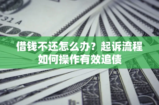 武汉借钱不还怎么办？起诉流程如何操作有效追债