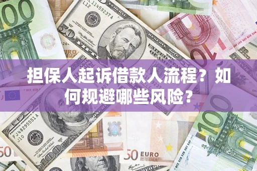 武汉担保人起诉借款人流程？如何规避哪些风险？