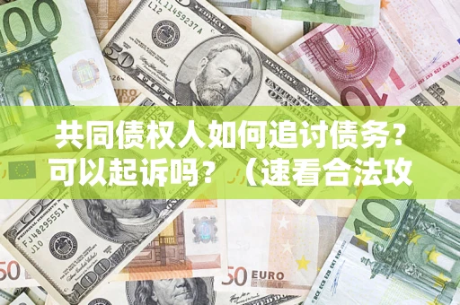 武汉共同债权人如何追讨债务？可以起诉吗？（速看合法攻略）