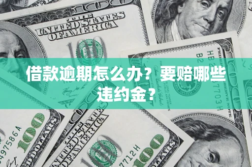 武汉借款逾期怎么办？要赔哪些违约金？