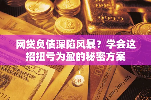 武汉网贷负债深陷风暴？学会这招扭亏为盈的秘密方案