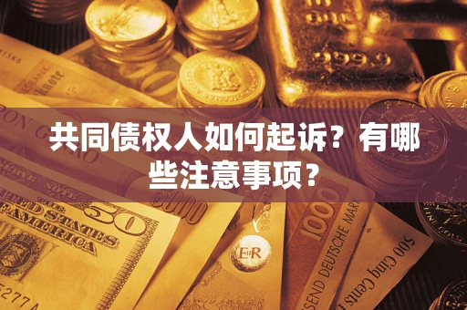 武汉共同债权人如何起诉？有哪些注意事项？