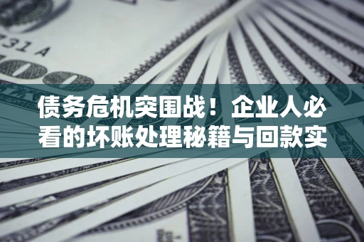 武汉债务危机突围战！企业人必看的坏账处理秘籍与回款实战指南
